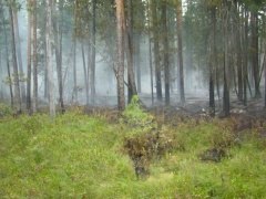 Особый противопожарный режим отменен