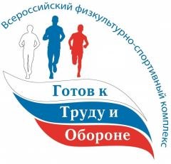 Районный зимний фестиваль ВФСК ГТО