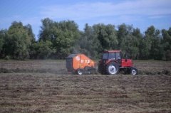 Посевные площади в Уватском районе не уменьшились