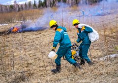 Виновники пожаров заплатят за нарушение и возместят ущерб