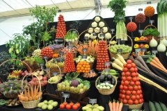 За покупками – на ноябрьские торжки!
