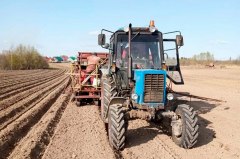 В Уватском районе началась посадка картофеля