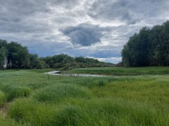 Природные пожары в Уватском районе ликвидированы