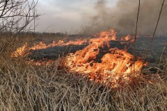 Сотрудники Уватского лесничества призывают жителей района не жечь траву