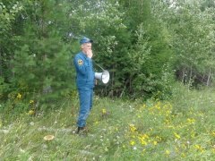 Лес опасен! Первого августа на пульт диспетчера ЕДДС поступил звонок от заблудившегося в лесу человека
