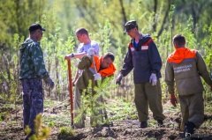 В Увате появился еще один «Лес Победы»