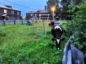 Новое сообщение