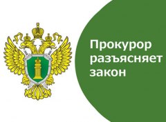 О проверке соответствия Конституции РФ