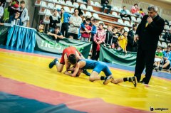 Соревнования по греко-римской борьбе пройдут в Увате 25 мая